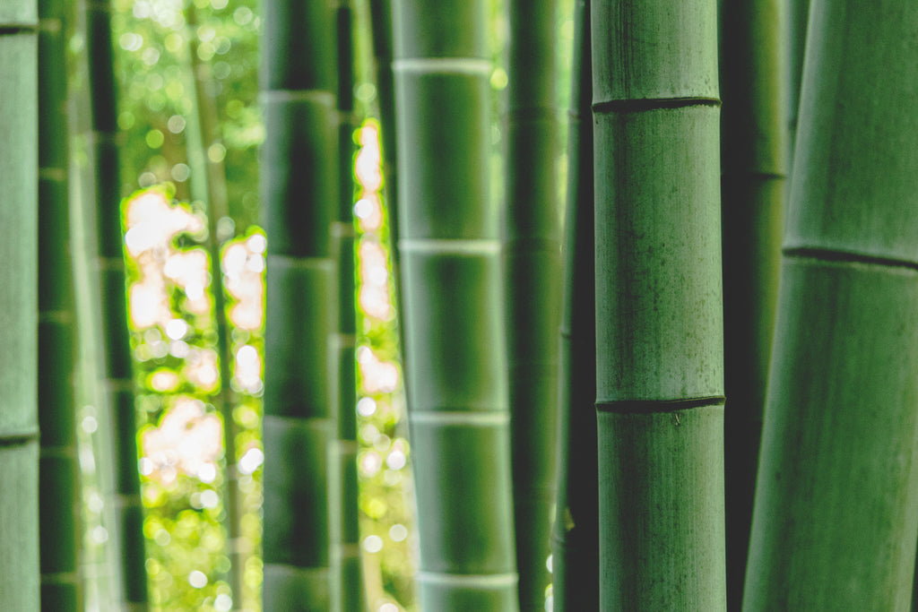 What is Bamboo Clothing?